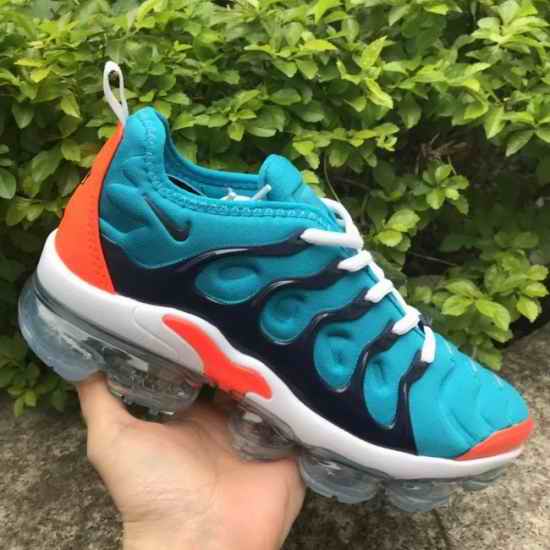Men Nike Air Max TN Plus Shoes 027
